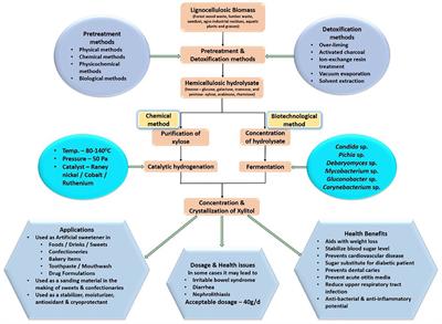 Xylitol: Bioproduction and Applications-A Review